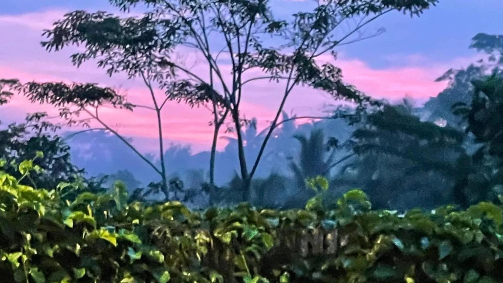 ****  Puri Kasih Gottlieb Hotel Ubud  Indonesia